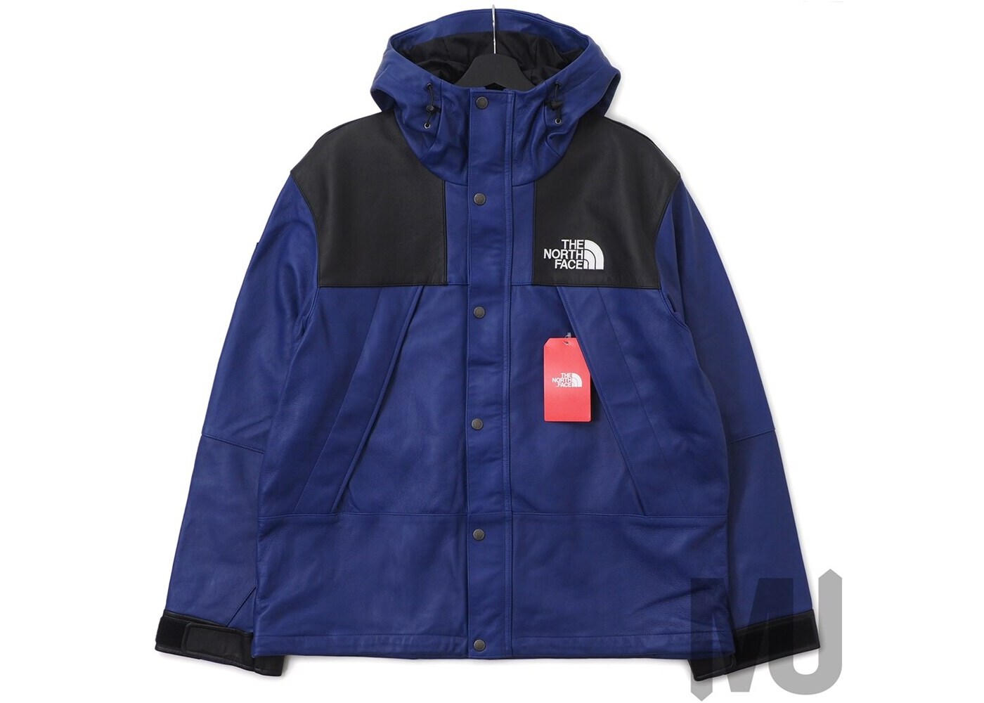 leather supreme north face